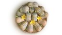 PLATO 757 F1
