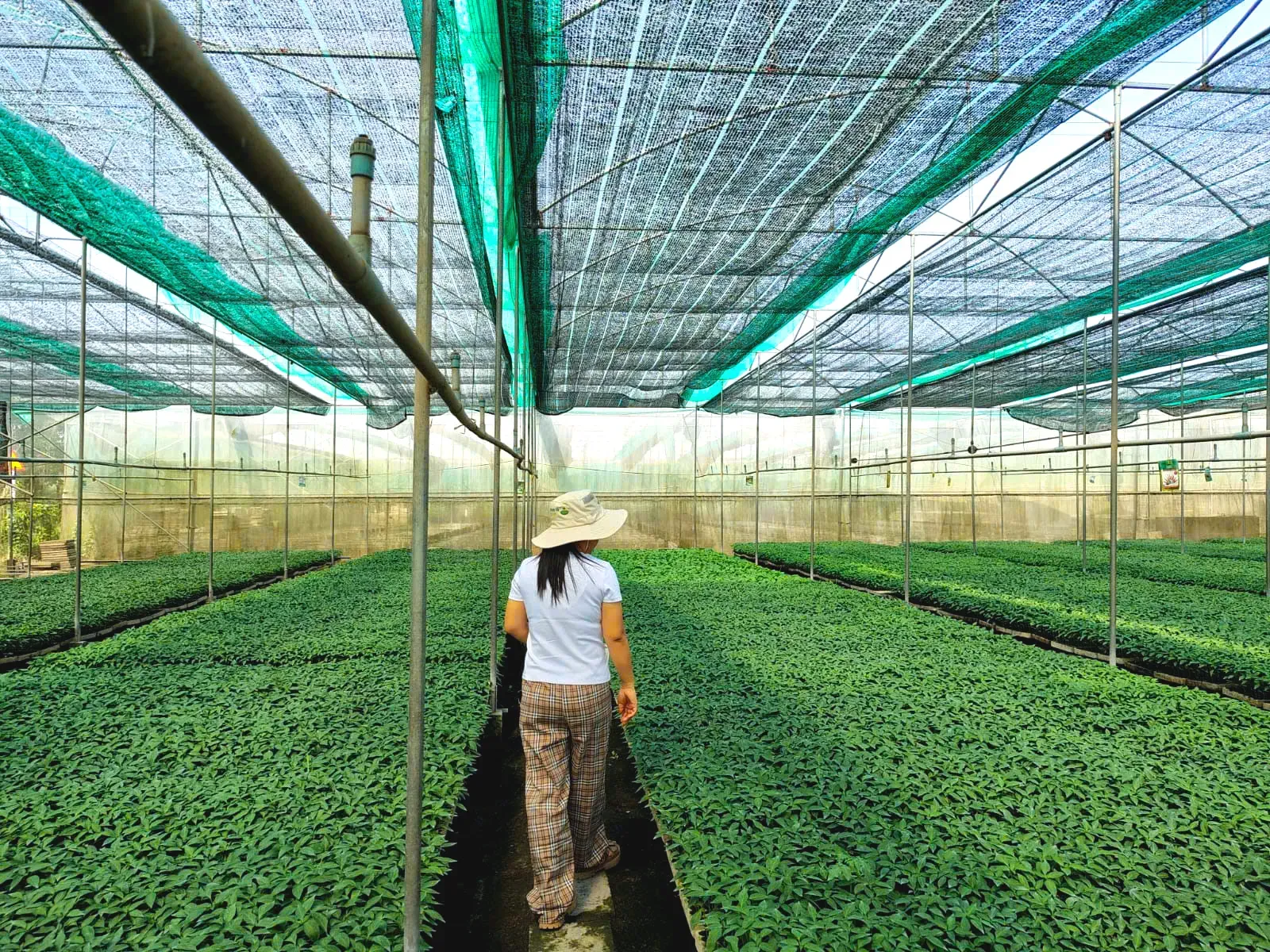 Nursery