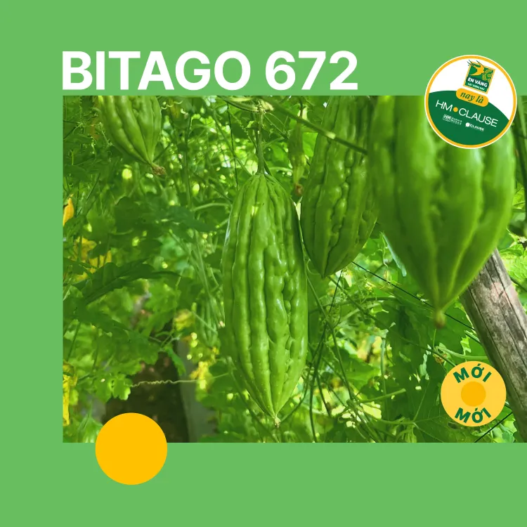 BITAGO 672