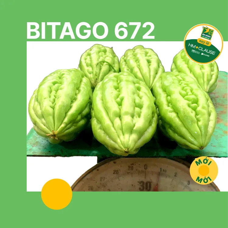 BITAGO_5