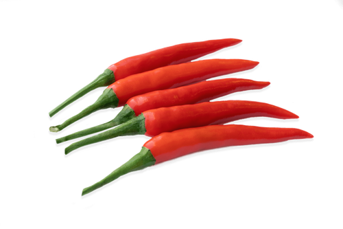 Ớt chỉ thiên SURY 01